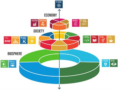 The Development of the Water-Energy-Food Nexus as a Framework for Achieving Resource Security: A Review